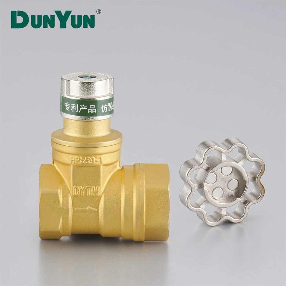 Brass One-Way Check Valve With Filter Mesh price