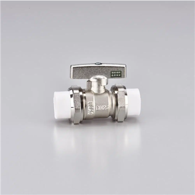 Drugelio koto PPR šarnyrinis rutulinis vožtuvas